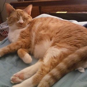 Meet your Posher, Sherrie